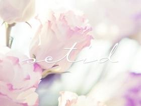 在你沒有成功之前,不會有人在乎你是誰